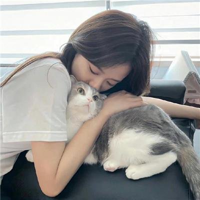 世界的角落是晚餐